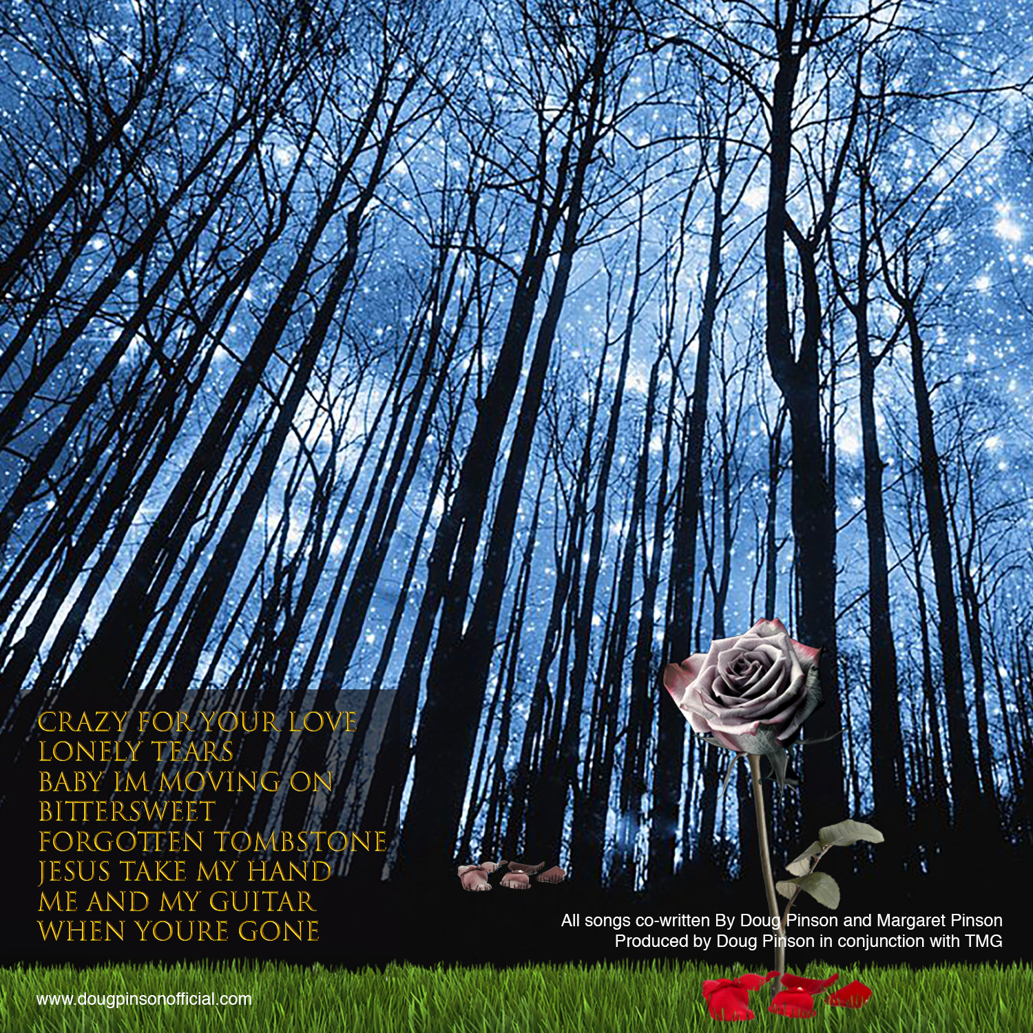 Diseño de Portada de CD por Way2Mind para este proyecto | Diseño #19803995