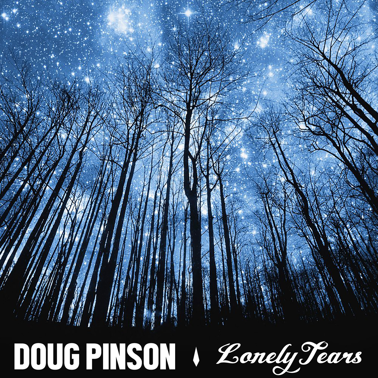 Diseño de Portada de CD por Way2Mind para este proyecto | Diseño #19826093