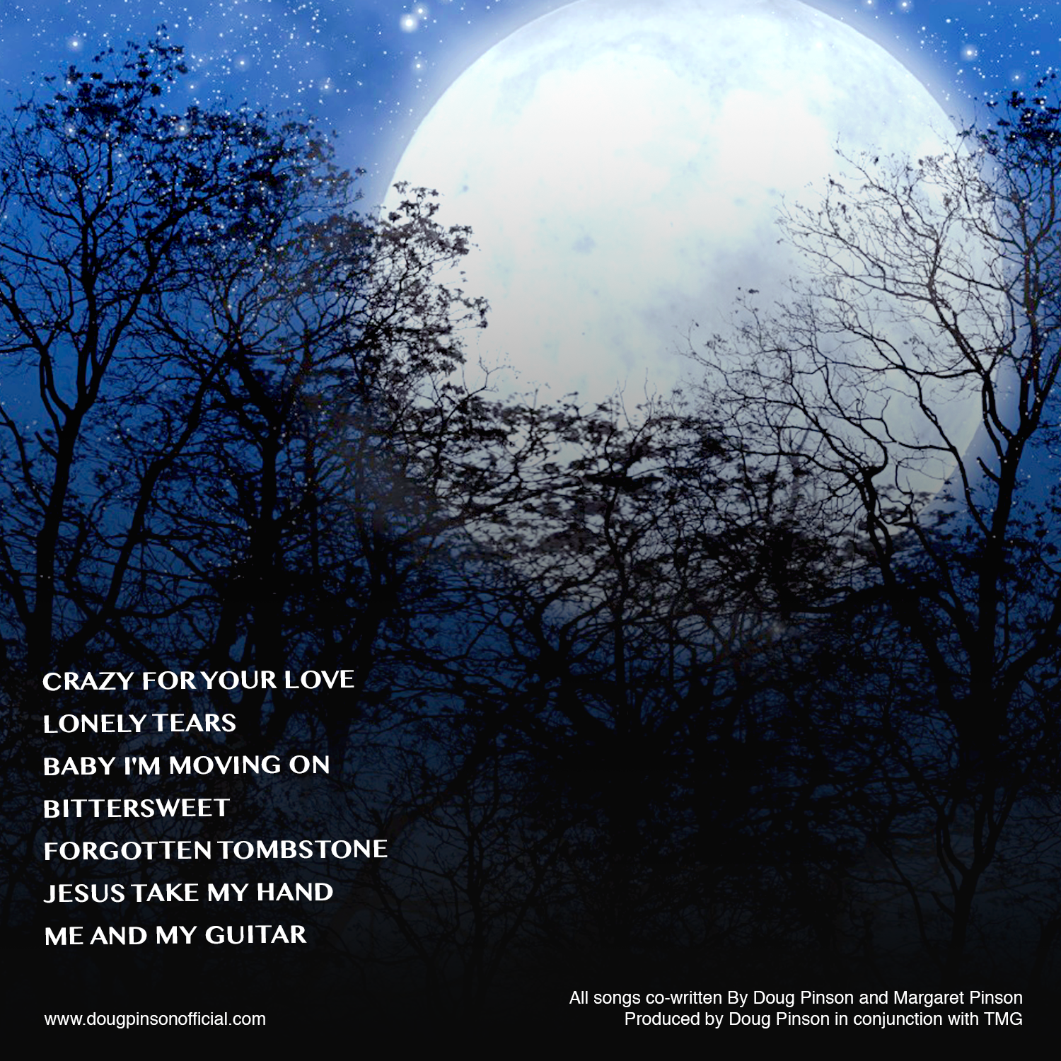 CD Cover Design by Way2Mind for this project | Design #19831996