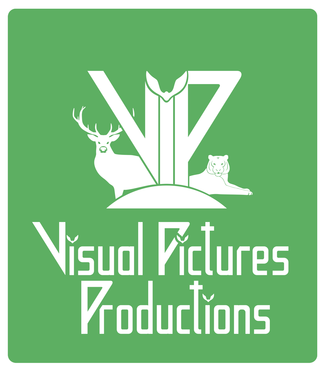 Logo Design by E-W for Visual Pictures | Design #19860545
