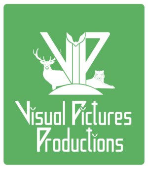 Logo-Design von E-W für Visual Pictures | Design: #19860545