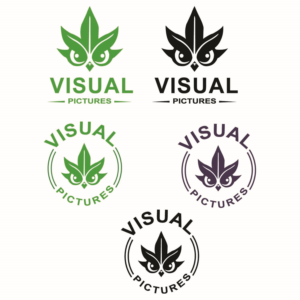 Logo-Design von jafer imam für Visual Pictures | Design: #19818730