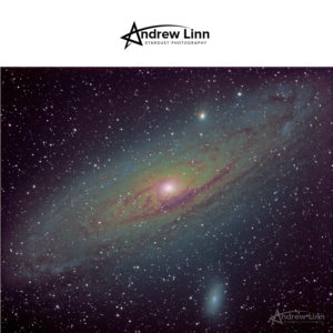 Logo Design by Gareng for Andrew Linn | Design: #19810990