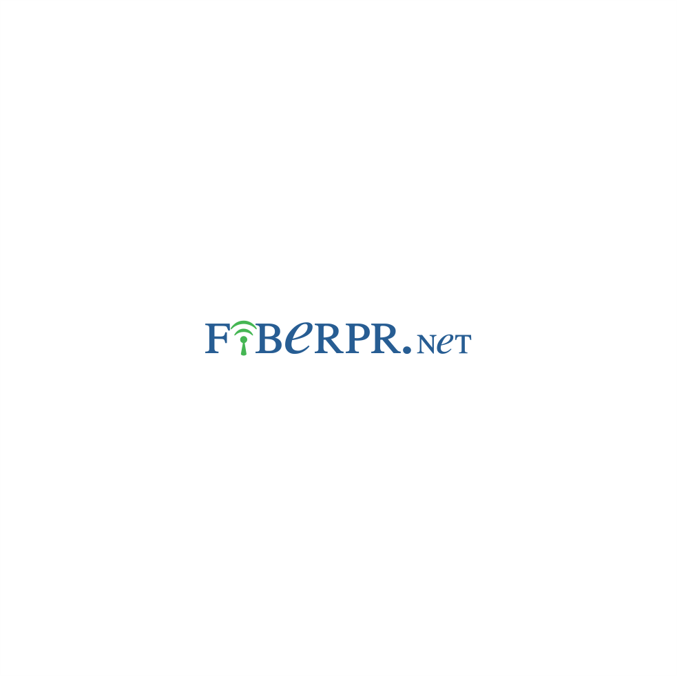 Logo Design by SteffySummer for IT AUDITORS PR, CORP. | Design #19820076