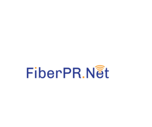Logo-Design von Rosaleen für IT AUDITORS PR, CORP. | Design: #19829844