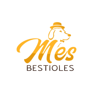 Logo Design by **INCREDIBLEDESIGNERS** for PET 4 STORE | Design: #19839611