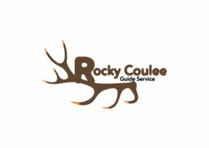 Logo Design by shassikumar85