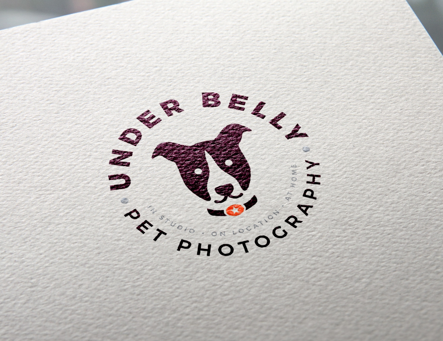 Logo Design by StalkerV for this project | Design #19856684