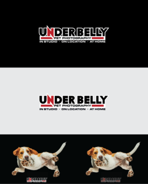 Design de Logo par Wild Geek pour ce projet | Design : #19824877