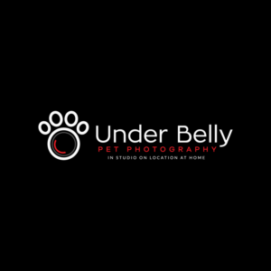 Design de Logo par **INCREDIBLEDESIGNERS** pour ce projet | Design : #19830056