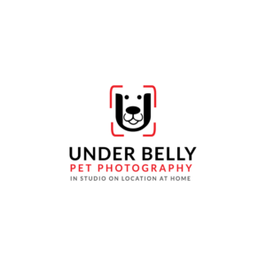 Design de Logo par **INCREDIBLEDESIGNERS** pour ce projet | Design : #19830057