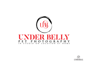 Design de Logo par logoflow007 pour ce projet | Design : #19885361