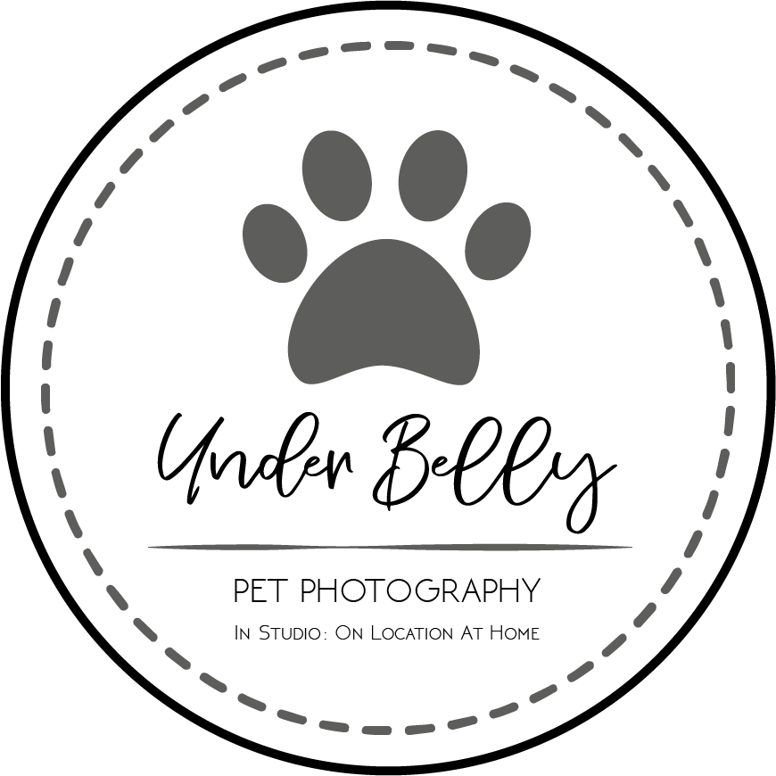 Logo-Design von daaalahasi 2 für dieses Projekt | Design #19852265