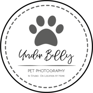 Logo Design by daaalahasi 2