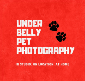 Logo Design by Fahad mzii for this project | Design #19858660