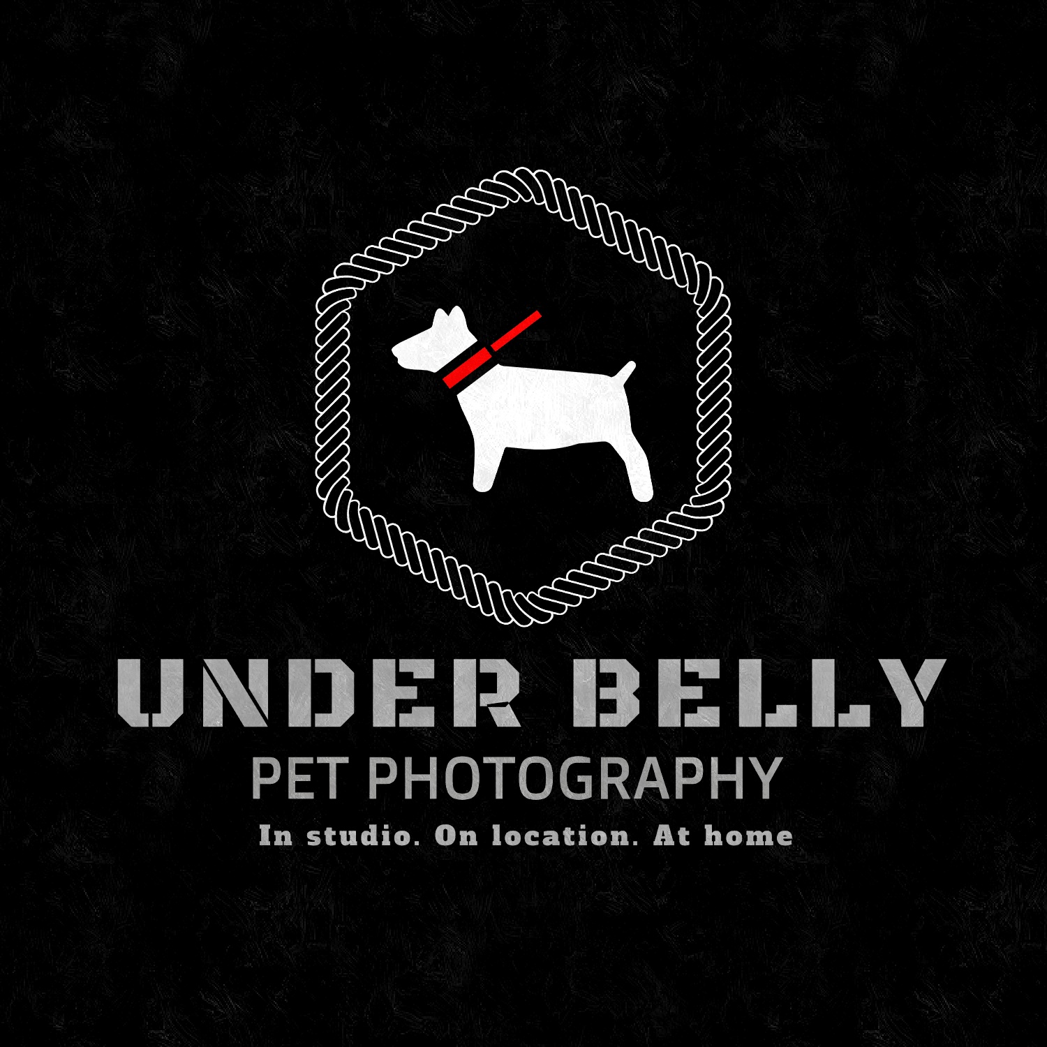 Logo Design by Fahad mzii for this project | Design #19858816