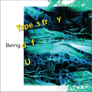 CD Cover Design by eleven