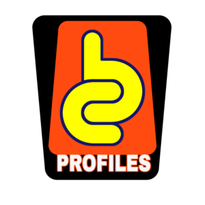 Design de Logo par dco DESIGNER pour BC Profiles | Design : #19887250