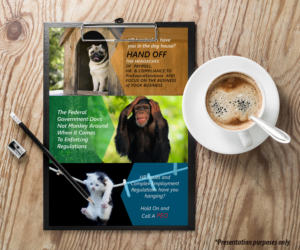 Design de Flyer par JanuXart pour ce projet | Design : #19841910