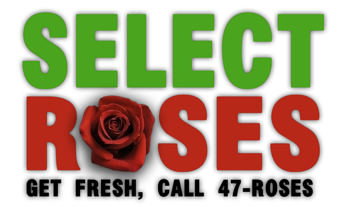 Visitenkarten-Design von Laura Miller für dieses Projekt | Design #691469