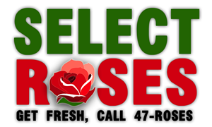 Diseño de Tarjeta de Presentación por Laura Miller para este proyecto | Diseño: #696179