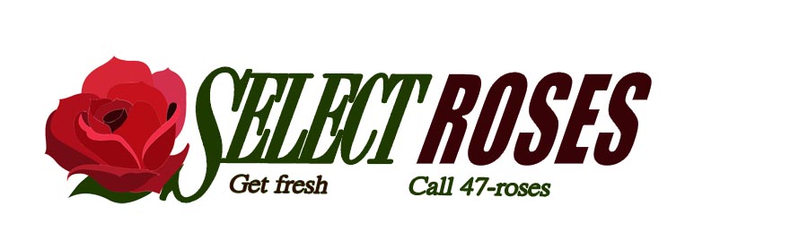 Diseño de Tarjeta de Presentación por Tracy Gu para este proyecto | Diseño #688639