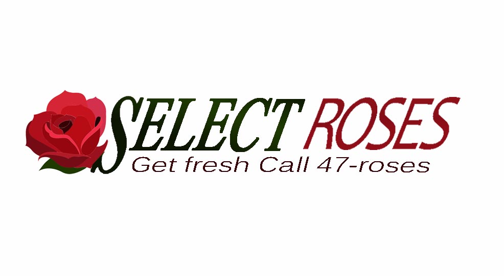 Business Card Design by Tracy Gu for this project | Design #696938