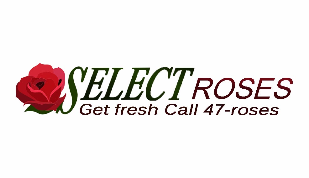 Business Card Design by Tracy Gu for this project | Design #696943