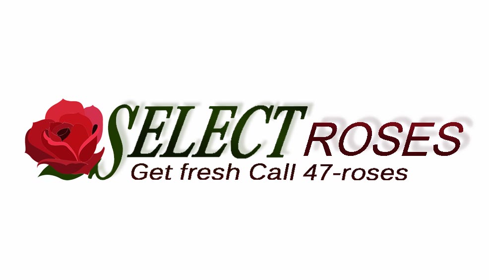 Business Card Design by Tracy Gu for this project | Design #696946