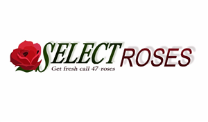 Diseño de Tarjeta de Presentación por Tracy Gu para este proyecto | Diseño: #696950