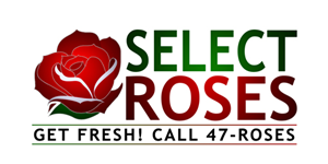Business Card Design by Seon