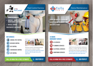 Design de Flyer par alex989 pour ce projet | Design : #19850050