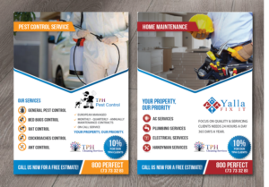 Design de Flyer par alex989 pour ce projet | Design : #19876633