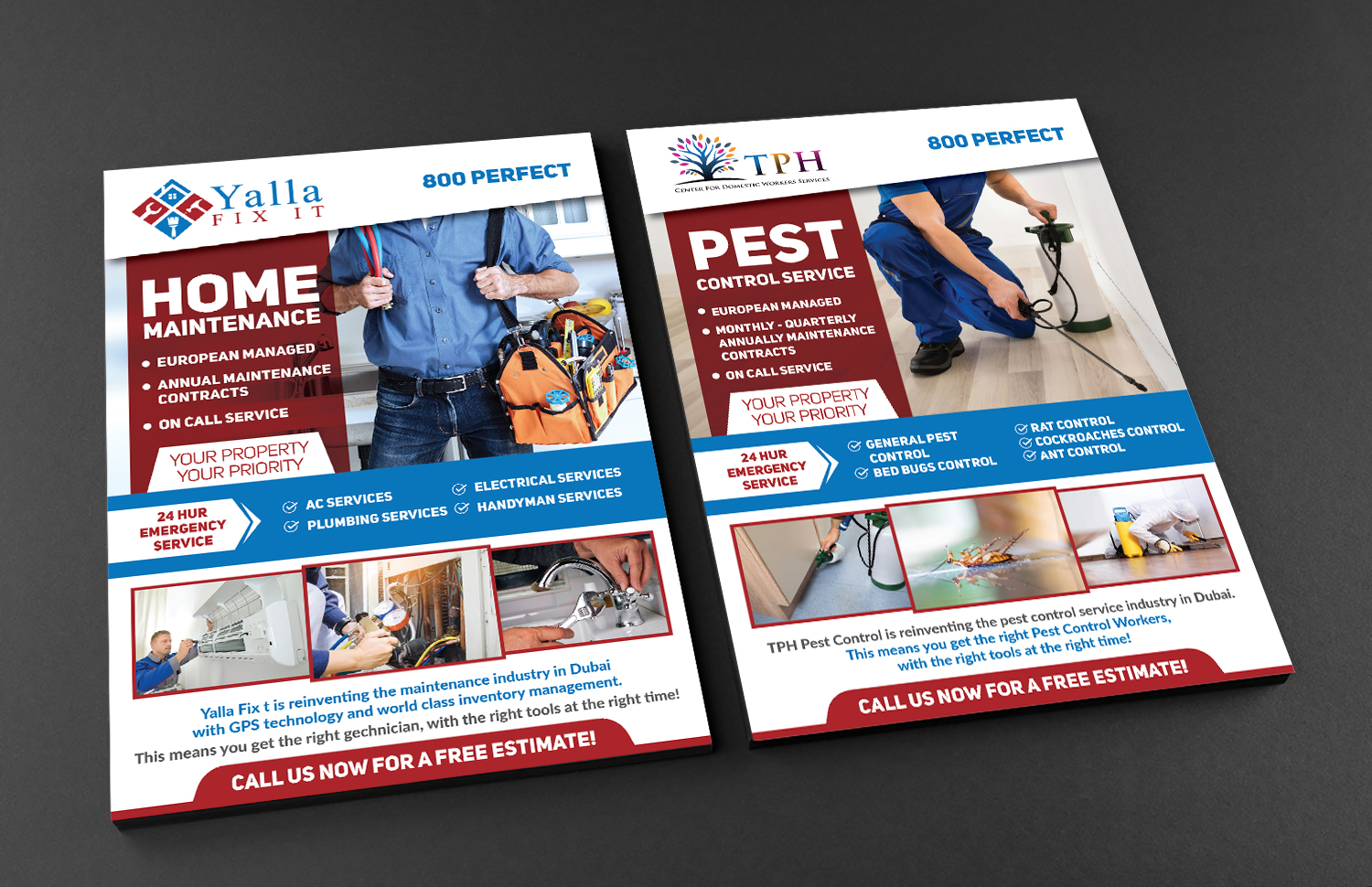 Flyer Design by Deziners Zone for this project | Design #19848287