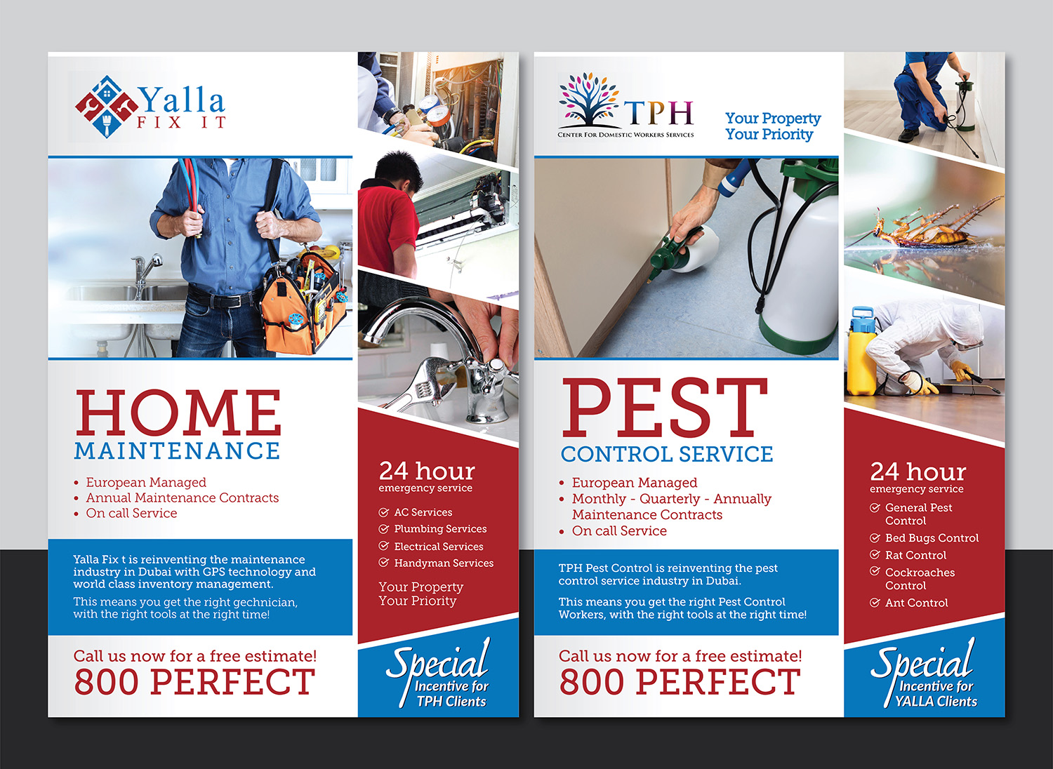 Flyer Design by Deziners Zone for this project | Design #19881268