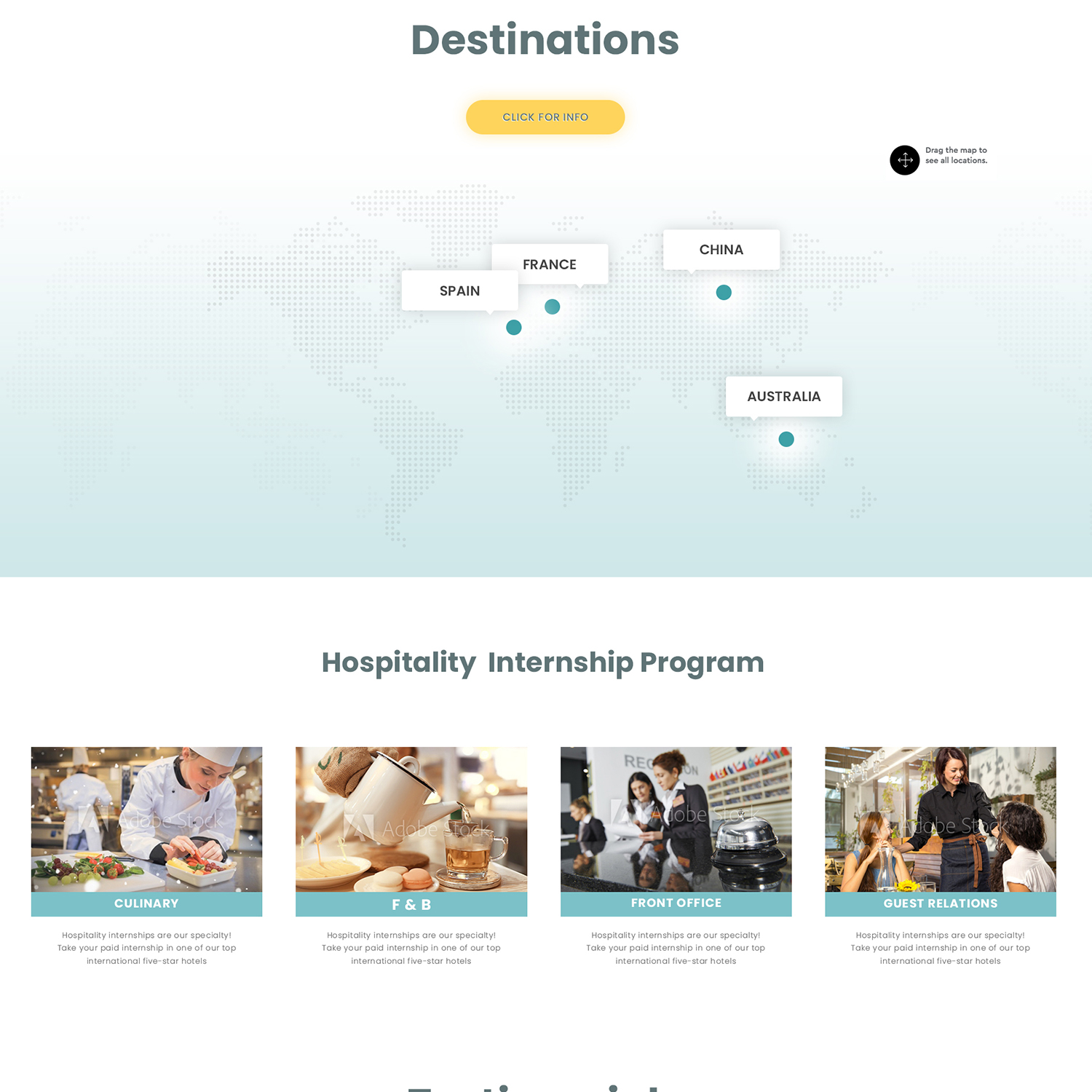 Web Design by DominicDesign for COL. COL NAPOLES DELG. BENITO, MEXICO D.F. C.P. 03810 MEX  RFC ECI0907167P0 | Design #19866885