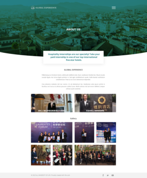 Web Design by nizardesain for COL. COL NAPOLES DELG. BENITO, MEXICO D.F. C.P. 03810 MEX  RFC ECI0907167P0 | Design: #20375672