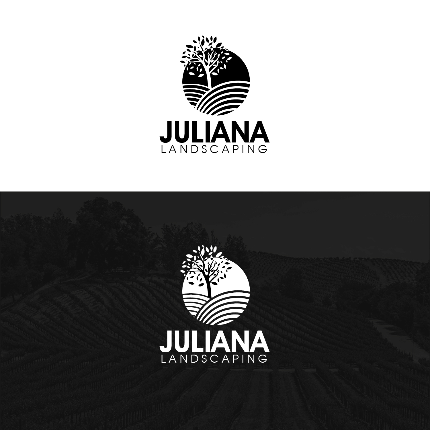 Logo Design by Maxo-Biz for this project | Design #19848149