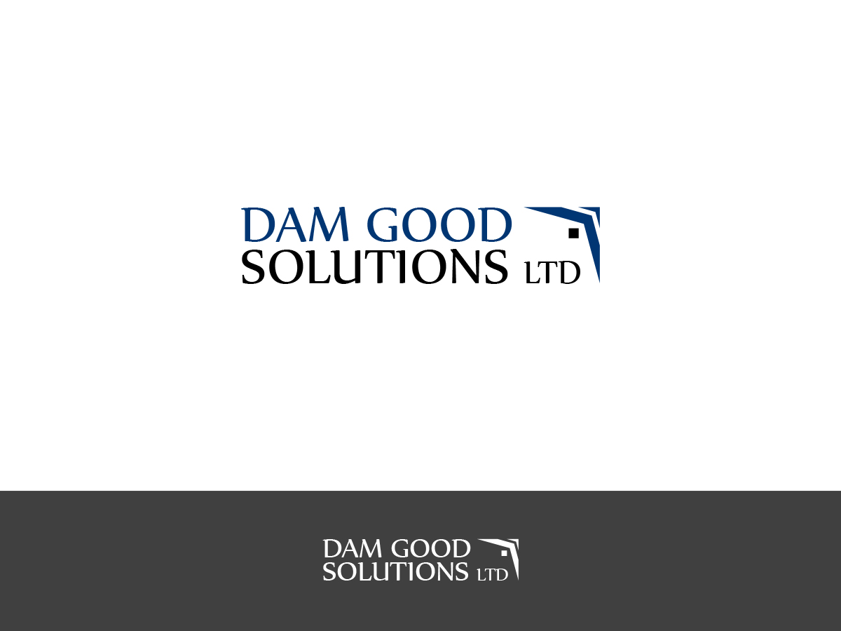 Logo Design by DiLion for DAM GOOD SOLUTIONS LTD | Design #19845001