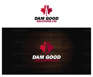 Logo Design by future logo.com for DAM GOOD SOLUTIONS LTD | Design: #19850954