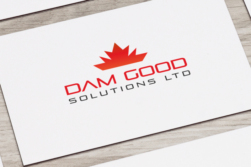 Logo Design by Trisha Akter for DAM GOOD SOLUTIONS LTD | Design #19858474