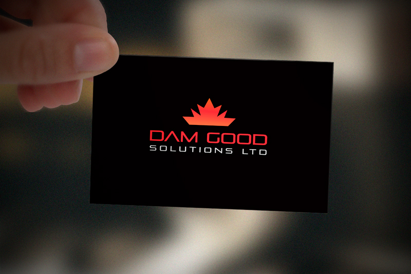 Logo Design by Trisha Akter for DAM GOOD SOLUTIONS LTD | Design #19858475