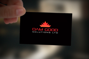 Logo Design by Trisha Akter for DAM GOOD SOLUTIONS LTD | Design: #19858475
