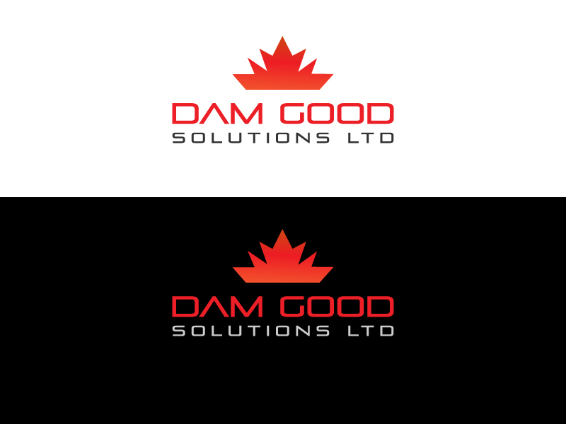 Design de Logo par Trisha Akter pour DAM GOOD SOLUTIONS LTD | Design #19858476