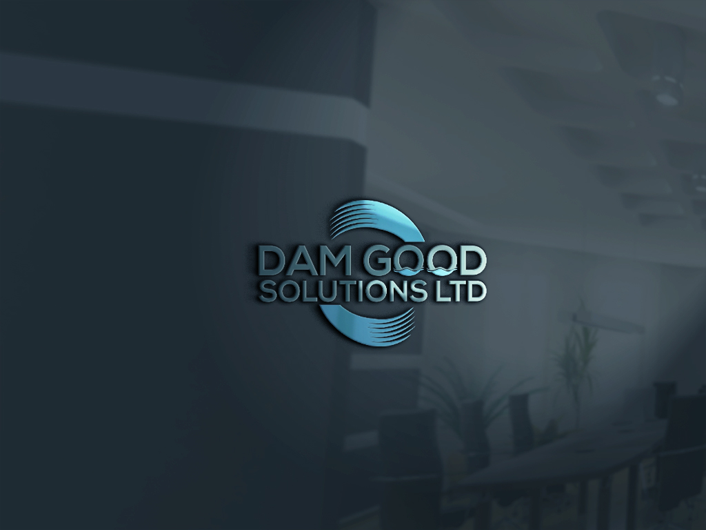 Logo Design by Rosaleen for DAM GOOD SOLUTIONS LTD | Design #19866555