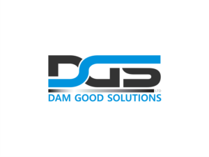 Logo Design by R16 for DAM GOOD SOLUTIONS LTD | Design: #19843454