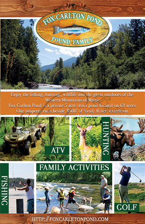 Design de Brochure par Caroloh pour ce projet | Design #2957475
