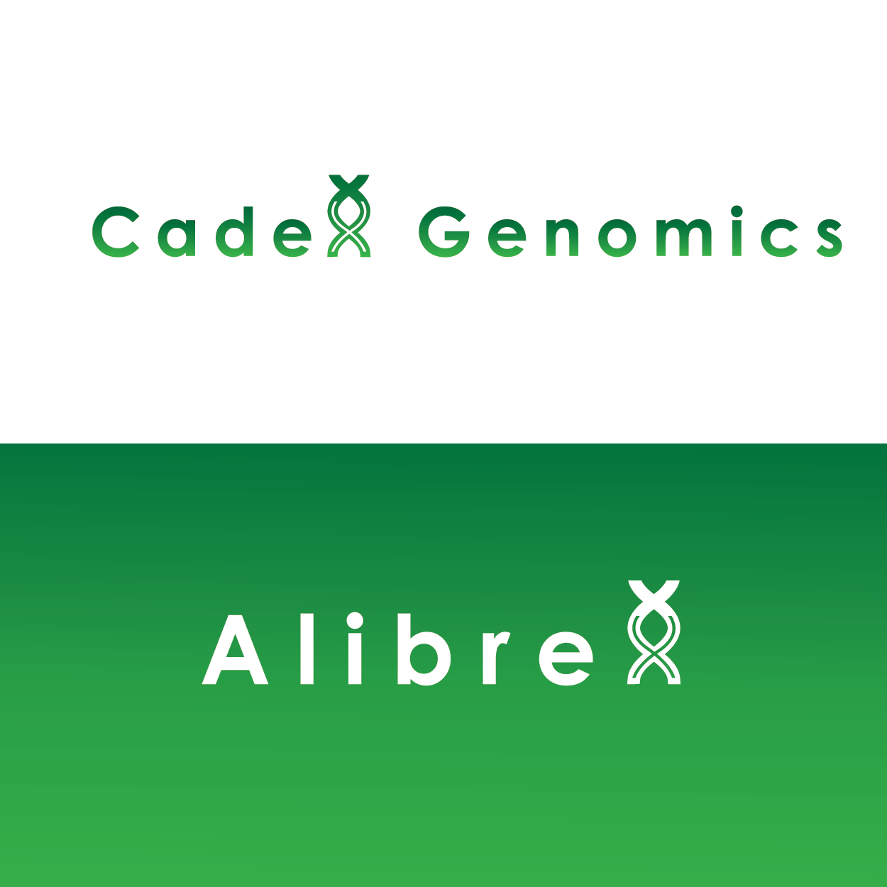 Logo Design by Ezgi Kilavuz for this project | Design #19873177