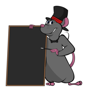 Magic Rat Specials Board | Illustration-Design von Cody Rostron