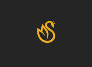 Logo Design by DH PROJECT
